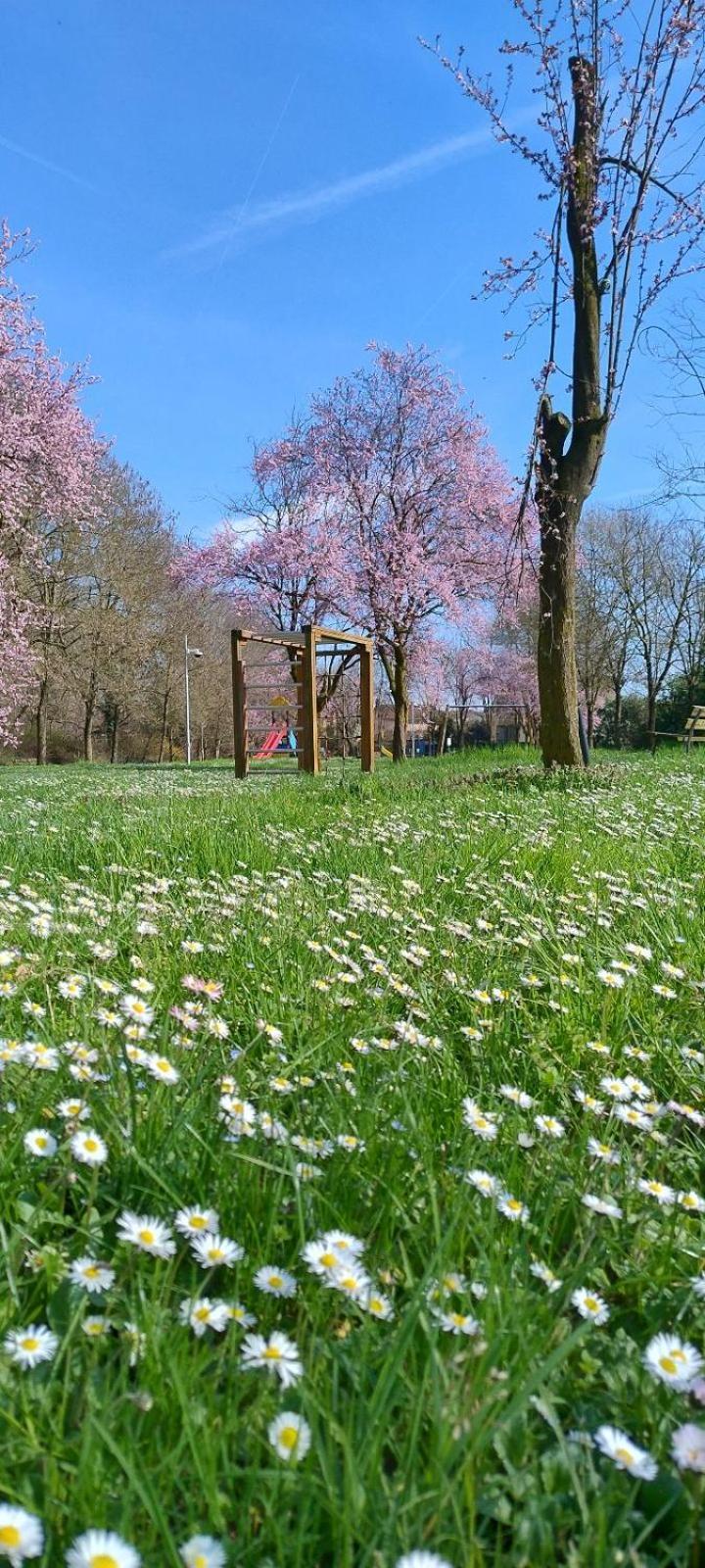 Shanti Ca' Casa Indipendente Con Giardino Lacchiarella Eksteriør billede