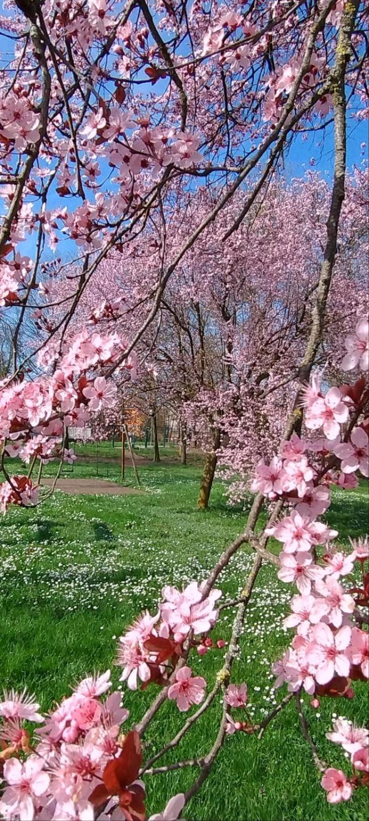 Shanti Ca' Casa Indipendente Con Giardino Lacchiarella Eksteriør billede