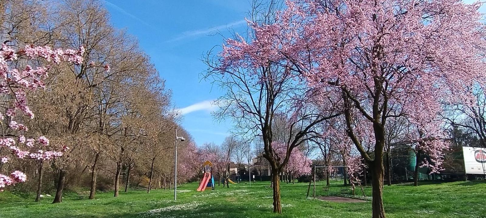 Shanti Ca' Casa Indipendente Con Giardino Lacchiarella Eksteriør billede
